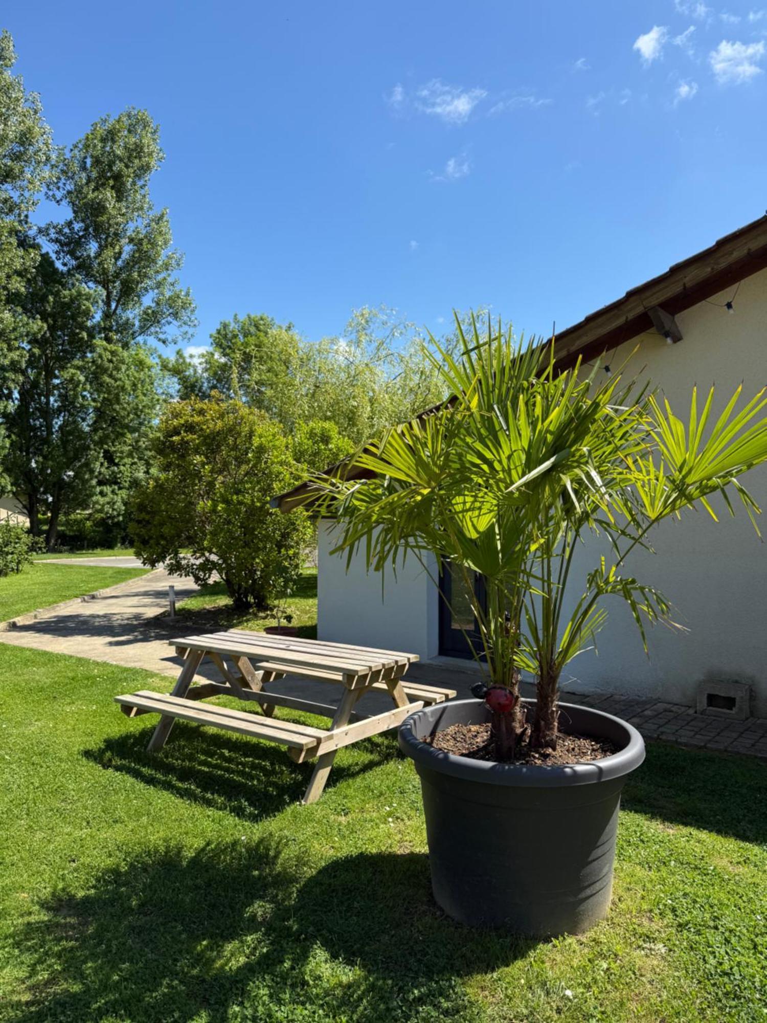 Parc De La Charmille Acomodação com café da manhã Saint-Étienne-sur-Reyssouze Exterior foto